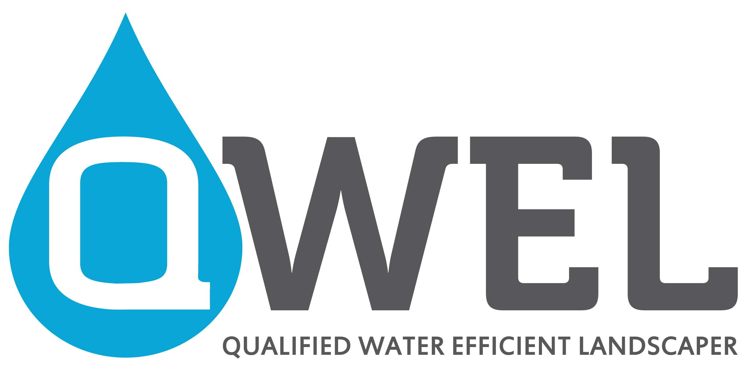 QWEL Logo
